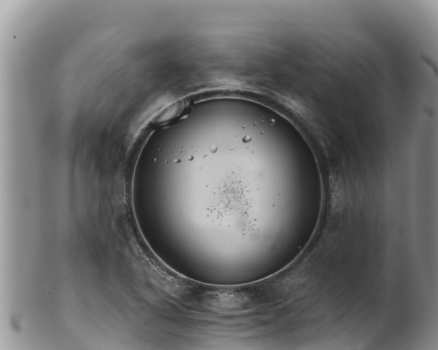 X0000102241318200808011239