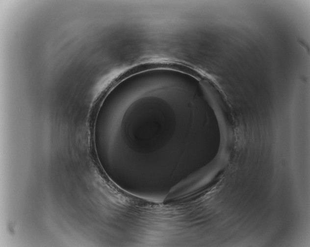 X0000102241319200808011239