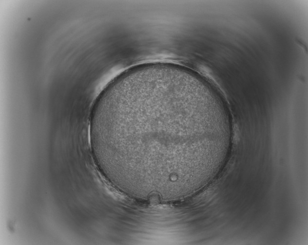 X0000102241320200808011239