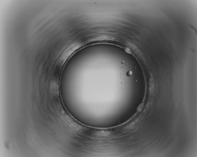 X0000102241321200808011239