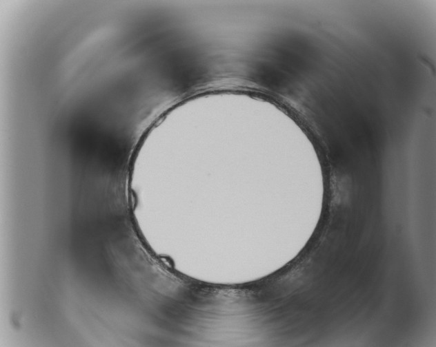 X0000102241322200808011239