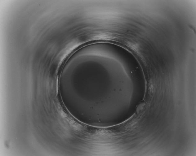 X0000102241323200808011239