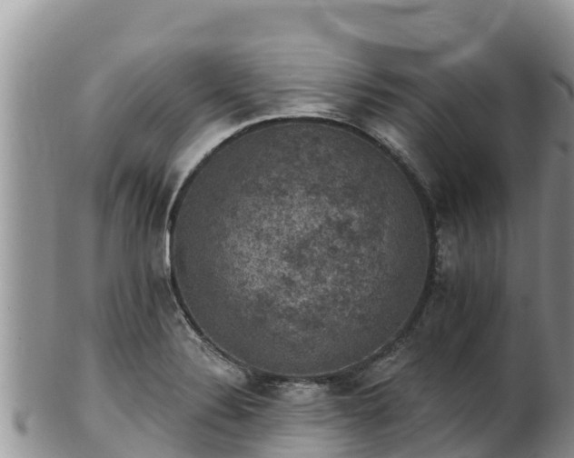 X0000102241324200808011239