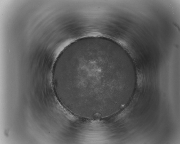 X0000102241326200808011239