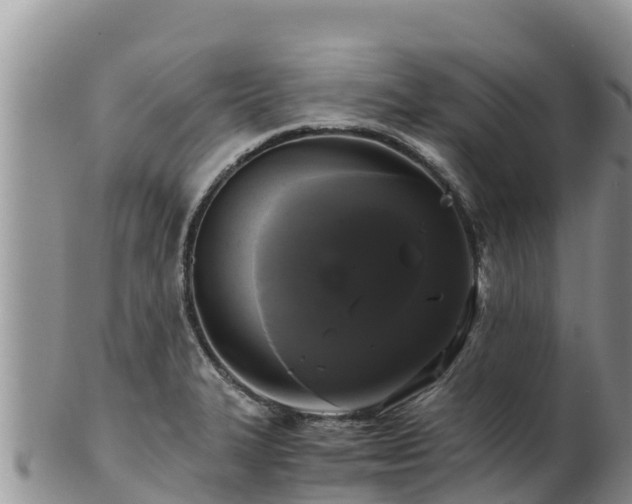 X0000102241327200808011239