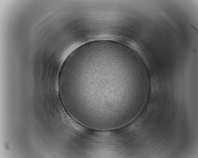 X0000102241328200808011239