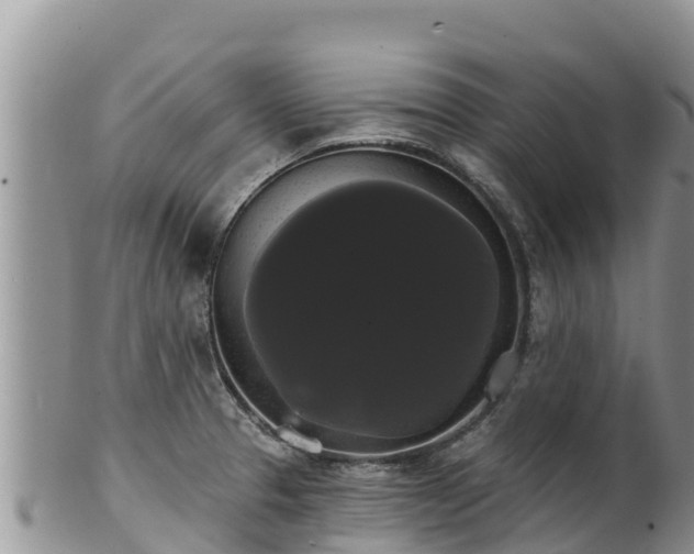 X0000102241329200808011239