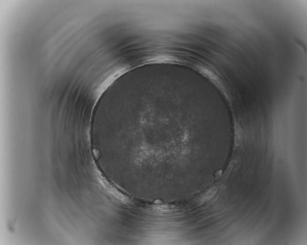 X0000102241330200808011239