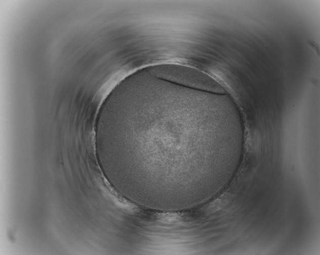 X0000102241332200808011239