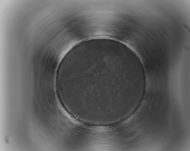 X0000102241333200808011239