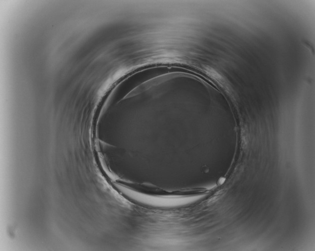 X0000102241334200808011239