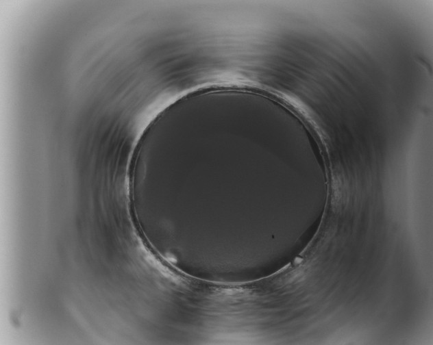 X0000102241335200808011239