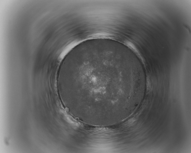 X0000102241336200808011239