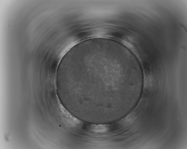 X0000102241338200808011239