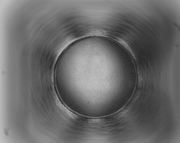 X0000102241339200808011239