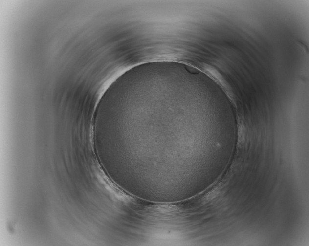 X0000102241340200808011239