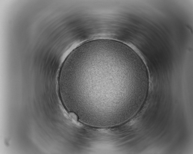 X0000102241341200808011239