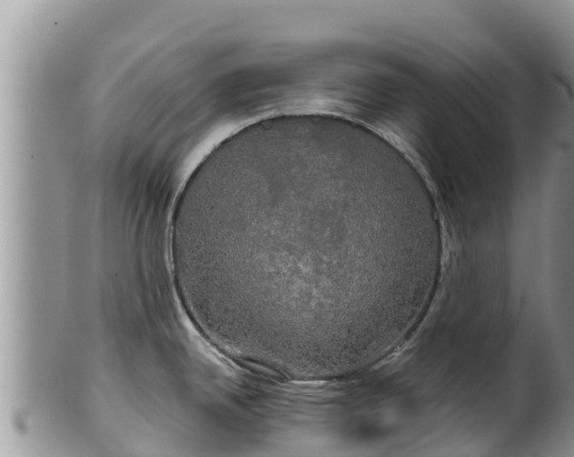 X0000102241342200808011239