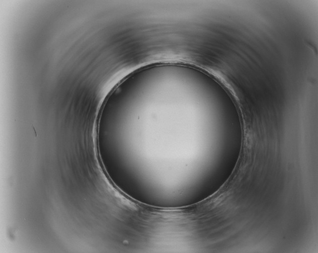 X0000102241343200808011239