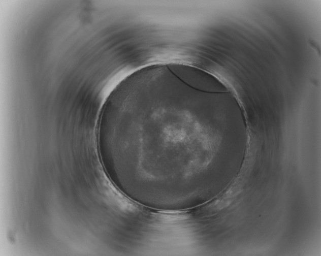 X0000102241344200808011239