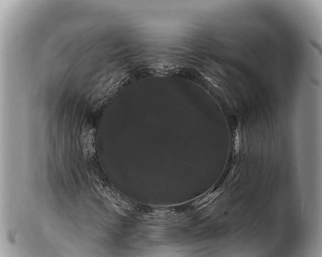 X0000102241346200808011238