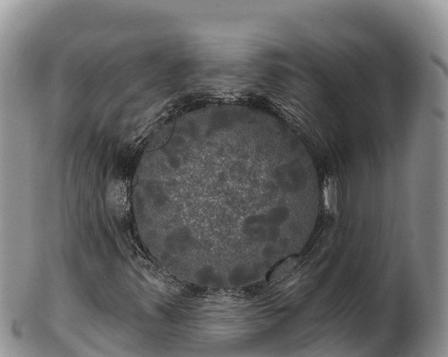 X0000102241347200808011238