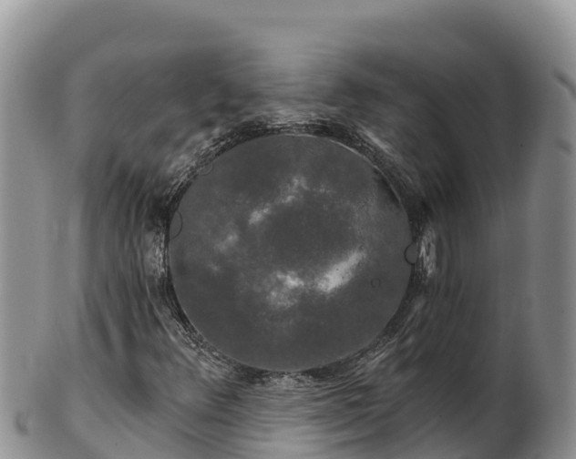 X0000102241348200808011238