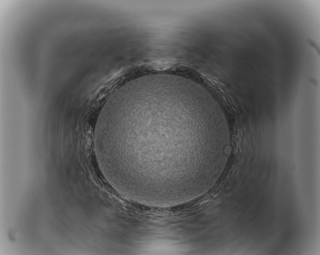 X0000102241349200808011238