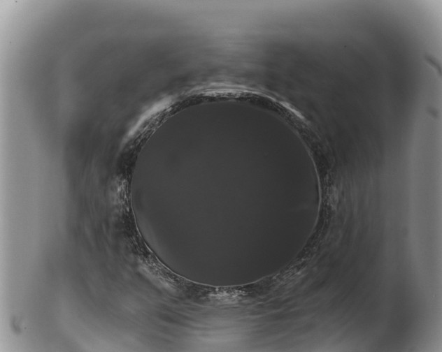 X0000102241351200808011238