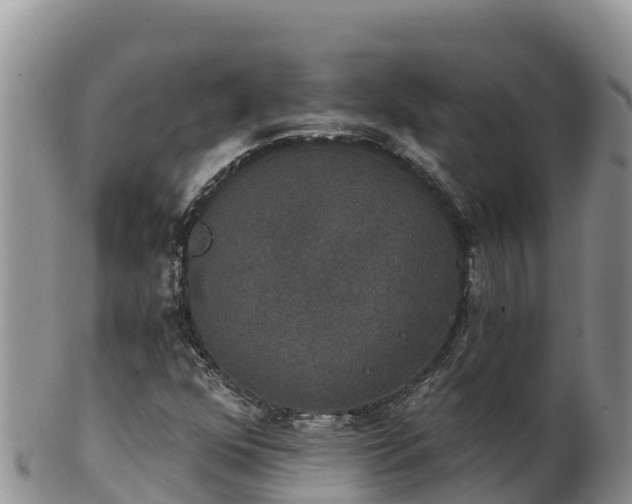 X0000102241352200808011238