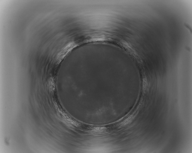 X0000102241353200808011238