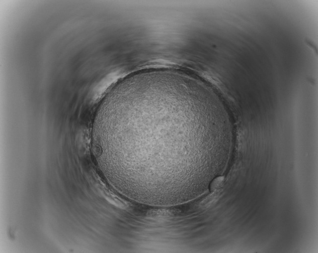 X0000102241355200808011238