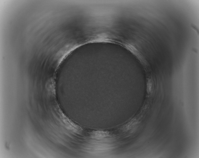 X0000102241356200808011238