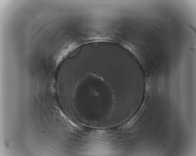 X0000102241357200808011238