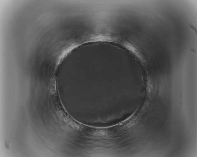 X0000102241358200808011238