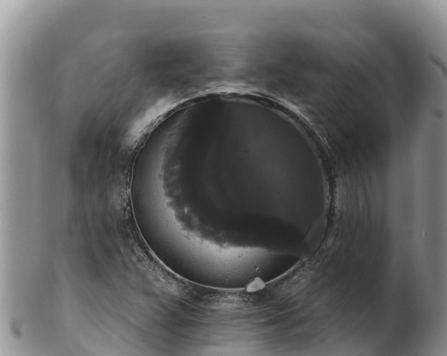 X0000102241359200808011238