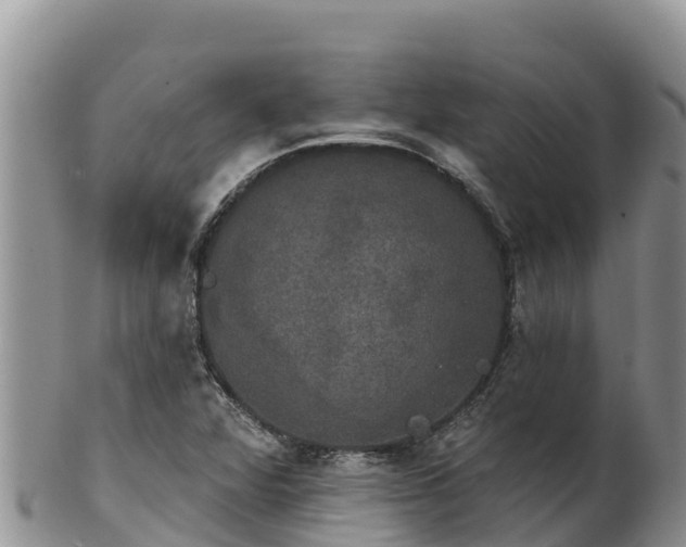 X0000102241360200808011238