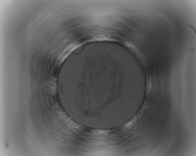 X0000102241361200808011238