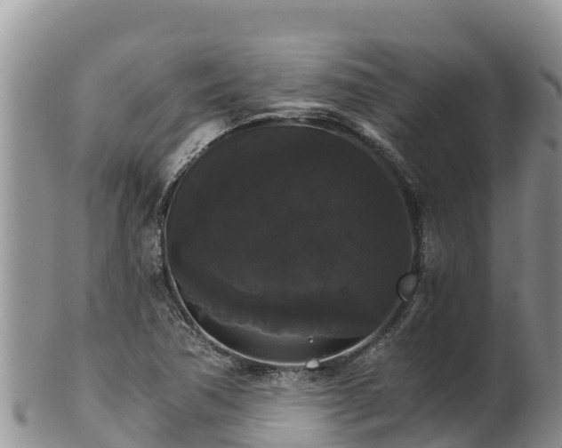 X0000102241362200808011238