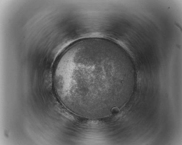 X0000102241364200808011238