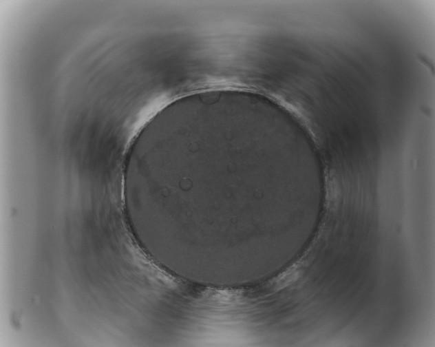 X0000102241365200808011238