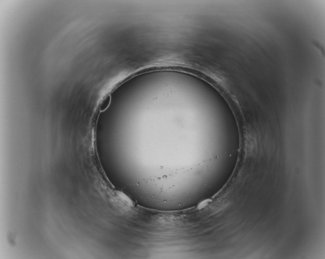 X0000102241366200808011238