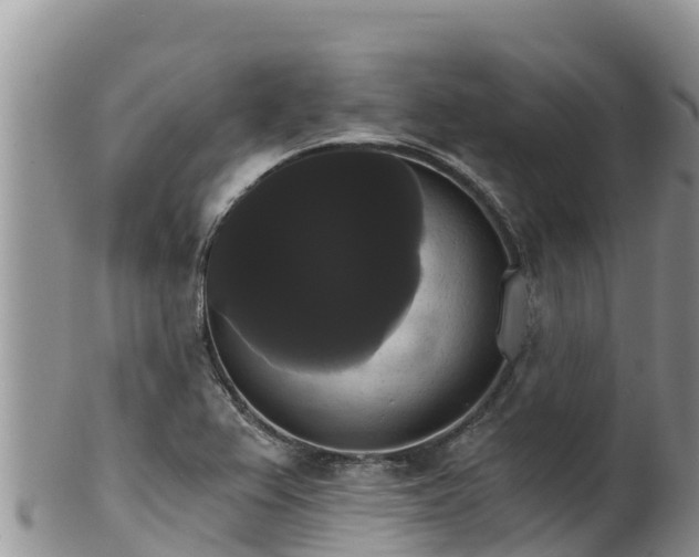 X0000102241367200808011238