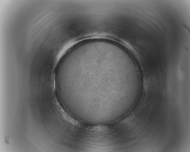 X0000102241368200808011238