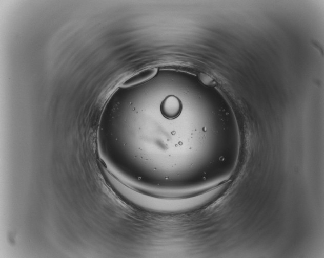 X0000102241369200808011238