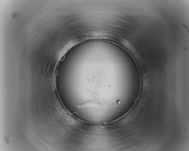 X0000102241370200808011238