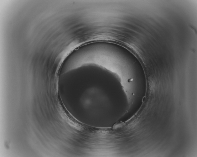 X0000102241371200808011238