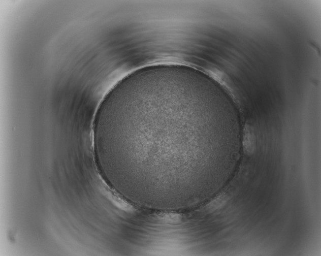 X0000102241372200808011238