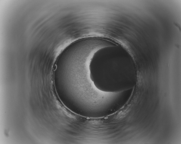 X0000102241373200808011238