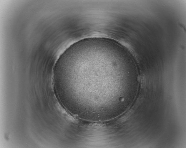 X0000102241374200808011238